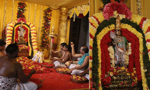 வடபழனி முருகன் கோவிலில் கந்த சஷ்டி திருவிழா தொடக்கம் - திரளான பக்தர்கள் தரிசனம்