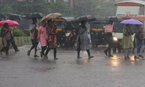 16 மாவட்டங்களில் இரவு 7 மணி வரை மழைக்கு வாய்ப்பு 16 மாவட்டங்களில் இரவு 7 மணி வரை மழைக்கு வாய்ப்பு