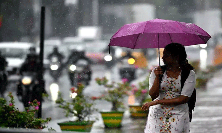 எந்தெந்த மாவட்டங்களுக்கு ரெட் அலர்ட்: ஆரஞ்சு... ... வங்கக்கடலில் புயல் உருவாவதில் தாமதம் எந்தெந்த மாவட்டங்களுக்கு ரெட் அலர்ட்: ஆரஞ்சு... ... வங்கக்கடலில் புயல் உருவாவதில் தாமதம்