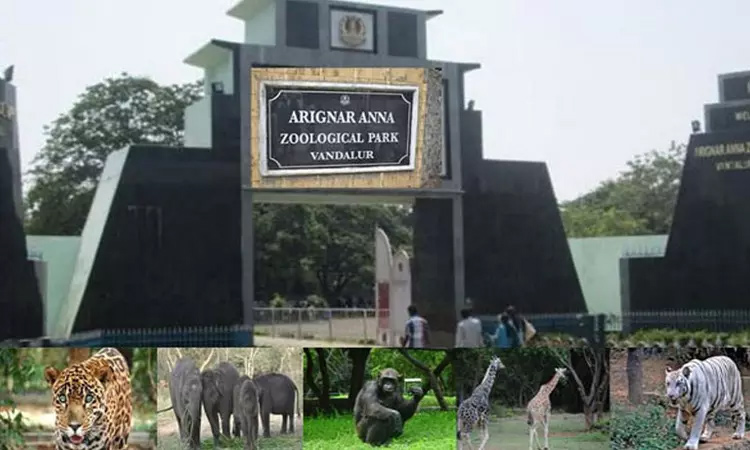 வண்டலூர் பூங்கா இன்று செயல்படாது