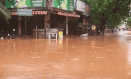 புதுச்சேரியில் மீட்புப் பணிக்கு ராணுவம் அழைப்பு - மாவட்ட கலெக்டர் தகவல்