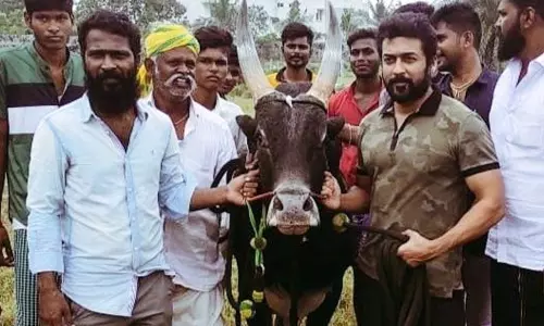 வெற்றிமாறன் இயக்கும் வாடிவாசல் படத்தின் அப்டேட்