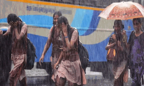 விழுப்புரம் மாவட்டத்தில் நாளை பள்ளி, கல்லூரிகளுக்கு விடுமுறை