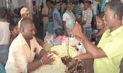 தென்காசி மலர் சந்தையில் மல்லிகைப்பூ விலை கிடுகிடு உயர்வு - கிலோ ரூ.4,500-க்கு விற்பனை