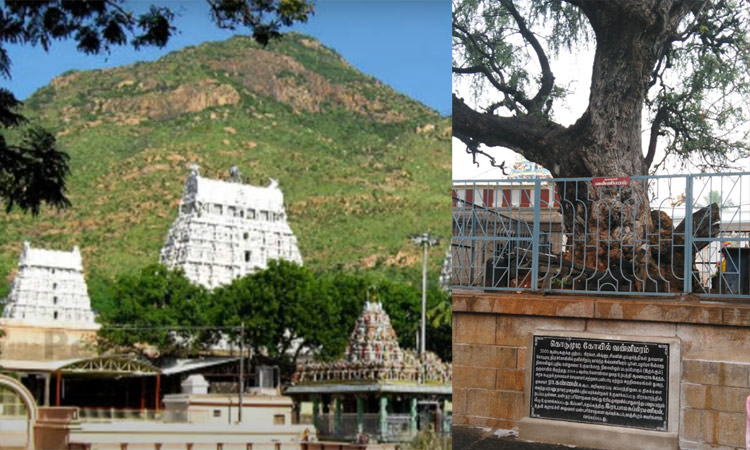 கொடுமுடி மகுடேஸ்வரர் ஆலய சிறப்புகள்