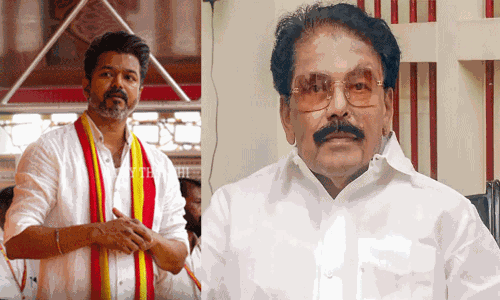 விஜய்யை அரசியல்வாதியாக தி.மு.க. அங்கீகரிக்கவில்லை - அமைச்சர் சாத்தூர் ராமச்சந்திரன்