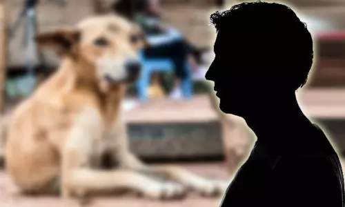 குடிபோதையில் தெருநாயுடன் தகாத உறவு கொண்ட நபர் கைது