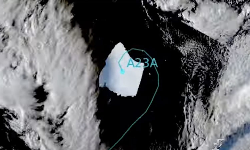 நகரத் தொடங்கிய உலகின் பழமையான பனிப்பாறை நகரத் தொடங்கிய உலகின் பழமையான பனிப்பாறை