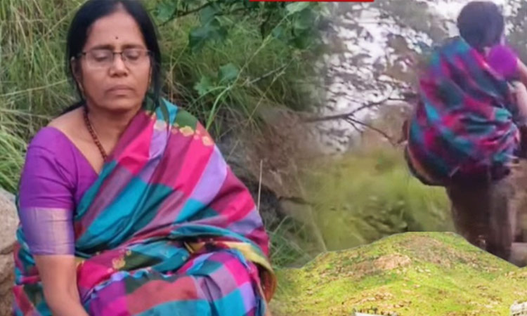 தடையை மீறி திருவண்ணாமலை தீப மலையில் ஏறி வழி... ... இன்றைய முக்கிய செய்திகள் சில வரிகளில்.. 17-12-2024 தடையை மீறி திருவண்ணாமலை தீப மலையில் ஏறி வழி... ... இன்றைய முக்கிய செய்திகள் சில வரிகளில்.. 17-12-2024