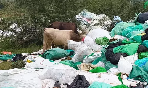 கேரள மருத்துவ கழிவுகளை தமிழகத்தில் கொட்டுவதா? பசுமை தீர்ப்பாயம் கடும் கண்டனம்