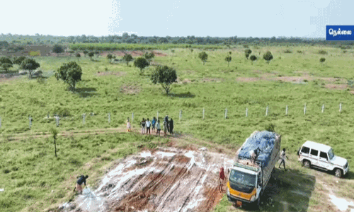 நெல்லையில் கொட்டப்பட்ட கேரள மருத்துவ கழிவுகள் - 4 இடங்களில் முற்றிலும் அகற்றம்