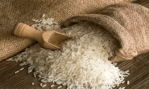 ரஷியாவில் அரிசி ஏற்றுமதிக்கு மேலும் 6 மாதங்கள் தடை நீட்டிப்பு