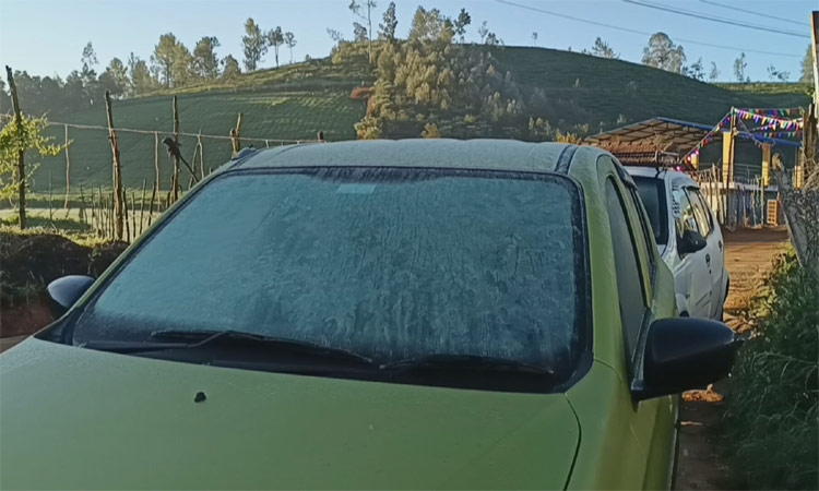 நீலகிரி: குன்னூர் பகுதியில் வாகனங்கள் மீது... ... 25-12-2024: இன்றைய முக்கிய செய்திகள் சில வரிகளில் நீலகிரி: குன்னூர் பகுதியில் வாகனங்கள் மீது... ... 25-12-2024: இன்றைய முக்கிய செய்திகள் சில வரிகளில்