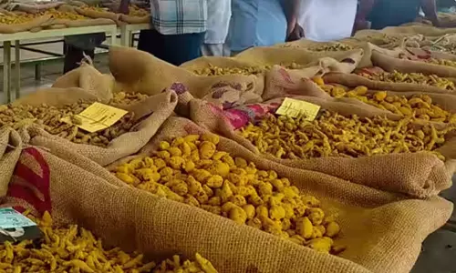 பொங்கல் பண்டிகை: ஈரோடு மஞ்சள் மார்க்கெட்டுக்கு 9 நாட்கள் விடுமுறை பொங்கல் பண்டிகை: ஈரோடு மஞ்சள் மார்க்கெட்டுக்கு 9 நாட்கள் விடுமுறை