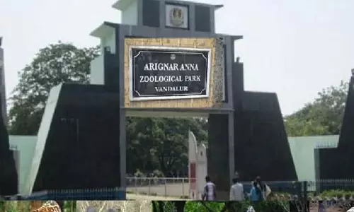 வண்டலூர் அறிஞர் அண்ணா உயிரியல் பூங்கா:  80,000க்கும் மேற்பட்ட பார்வையாளர்கள் வருகை