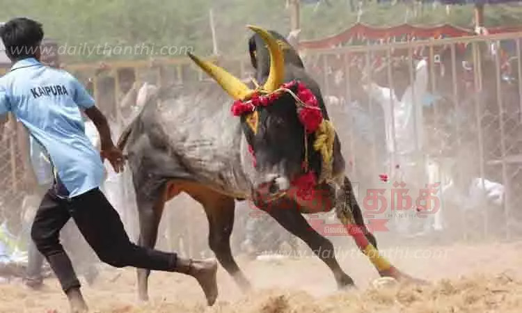 சிவகங்கை: மஞ்சுவிரட்டில் மாடு முட்டி பார்வையாளர் உயிரிழப்பு