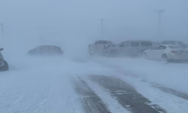 பனிமூட்டத்தால் வாகனங்கள் அடுத்தடுத்து மோதல்- லாரி டிரைவர் பலி