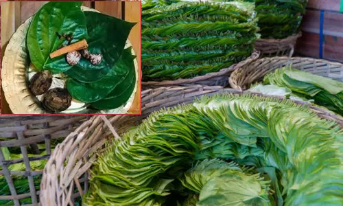 தாம்பூலம் போடுவதால் இத்தனை நன்மைகளா..?