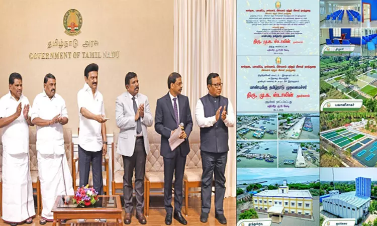 நெல்லையில் ரூ.15 கோடியில் தூண்டில் வளைவுடன் கூடிய மீன் இறங்குதளம் - முதல்-அமைச்சர் அடிக்கல் நாட்டினார் நெல்லையில் ரூ.15 கோடியில் தூண்டில் வளைவுடன் கூடிய மீன் இறங்குதளம் - முதல்-அமைச்சர் அடிக்கல் நாட்டினார்