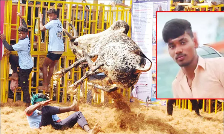 குமாரபாளையம் ஜல்லிக்கட்டு: தொண்டையில் மாட்டின் கொம்பு குத்தி வாலிபர் உயிரிழப்பு