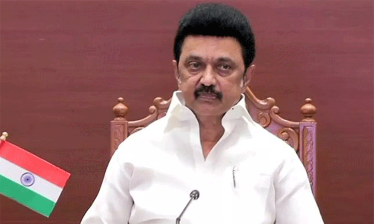 பாதிக்கப்பட்ட கர்ப்பிணி பெண்ணுக்கு ரூ.3 லட்சம் நிவாரணம் அறிவித்தது தமிழக அரசு