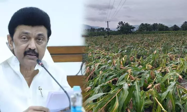 பெஞ்சல் புயல் பாதிப்பு - ரூ.498.80 கோடி ஒதுக்கீடு பெஞ்சல் புயல் பாதிப்பு - ரூ.498.80 கோடி ஒதுக்கீடு