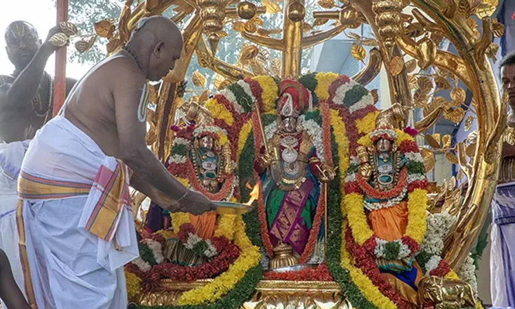 பிரம்மோற்சவ விழா 4-ம் நாள்: கல்ப விருட்ச வாகனத்தில் கல்யாண வெங்கடேஸ்வரர் வீதி உலா