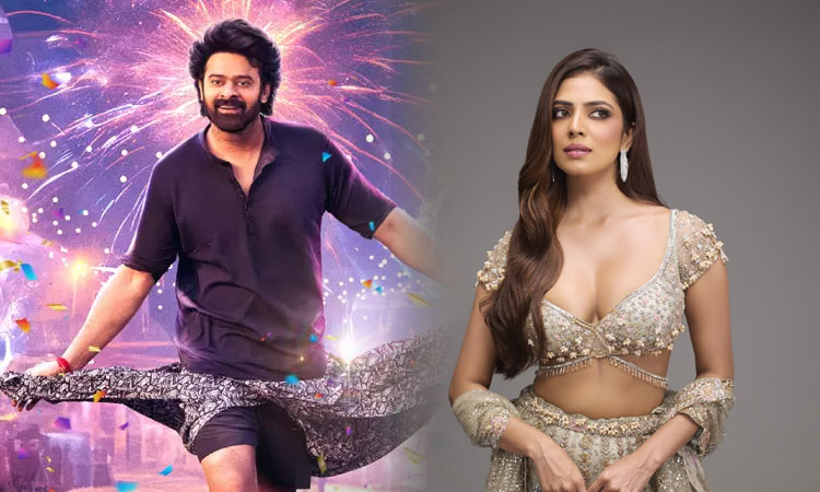 ''தி ராஜா சாப்' படத்தில் நடிக்க காரணம் அதுதான்' - மாளவிகா மோகனன்