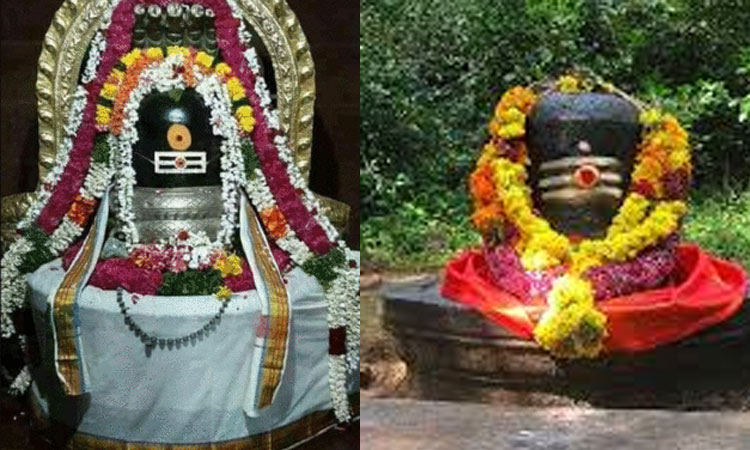 சிவராத்திரி நாளில் செய்ய வேண்டிய வழிபாடுகள் என்னென்ன?