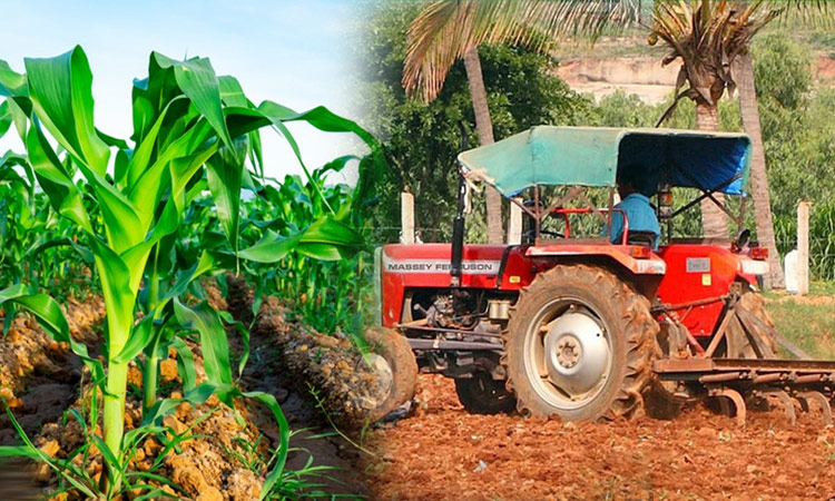 வேளாண்மையில் அதிக உற்பத்திக்கும், தொழில்நுட்பப் பயன்பாட்டிற்கும் ரொக்கப்பரிசுகள் - அமைச்சர் அறிவிப்பு