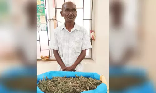 தூத்துக்குடியில் கஞ்சா விற்றவர் கைது: 3.3 கிலோ பறிமுதல் தூத்துக்குடியில் கஞ்சா விற்றவர் கைது: 3.3 கிலோ பறிமுதல்