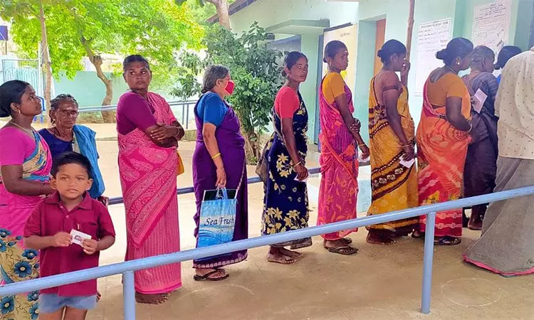 மே மாதம் உள்ளாட்சி இடைத்தேர்தல் நடத்த திட்டம்