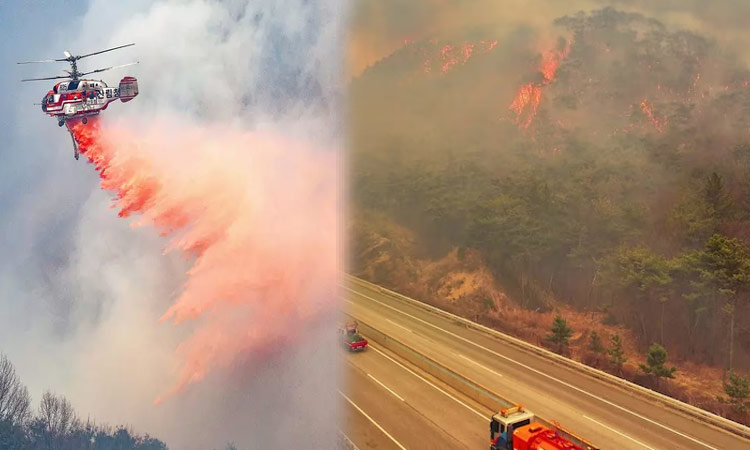 தென்கொரியாவில் காட்டுத்தீ: 16 பேர் பலி; 19 பேர் காயம்