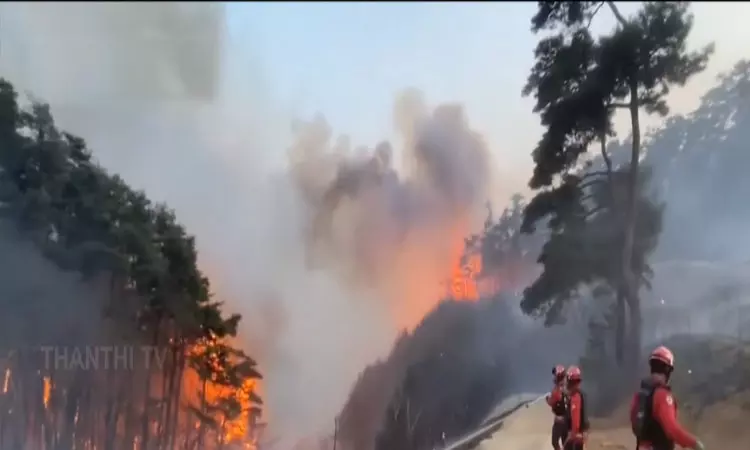 தென்கொரியாவில் காட்டுத்தீ: பலி எண்ணிக்கை 28 ஆக உயர்வு தென்கொரியாவில் காட்டுத்தீ: பலி எண்ணிக்கை 28 ஆக உயர்வு