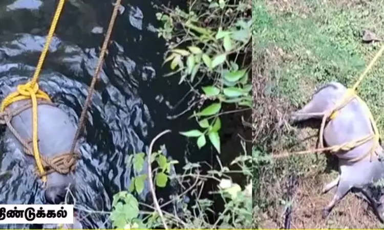 திண்டுக்கல்லில் 100 அடி ஆழ கிணற்றில் தவறி விழுந்த... ... இன்றைய முக்கிய செய்திகள் சில வரிகளில்.. 30-03-2025 திண்டுக்கல்லில் 100 அடி ஆழ கிணற்றில் தவறி விழுந்த... ... இன்றைய முக்கிய செய்திகள் சில வரிகளில்.. 30-03-2025