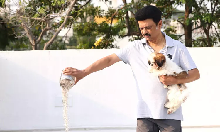 கோடை வெயிலால் தவிக்கும் பறவைகளுக்கு நீரும், உணவும்... ... இன்றைய முக்கிய செய்திகள் சில வரிகளில்.. 31-03-2025