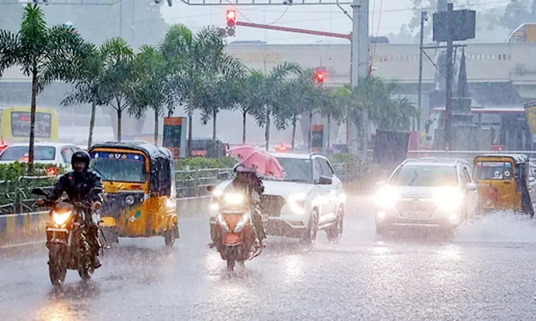 5 மாவட்டங்களில் காலை 10 மணி வரை மழைக்கு வாய்ப்பு 5 மாவட்டங்களில் காலை 10 மணி வரை மழைக்கு வாய்ப்பு