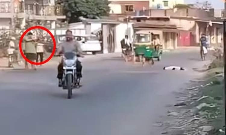 நடுரோட்டில் தெருநாயை சுட்டுக்கொன்ற நபர் - அதிர்ச்சி சம்பவம்