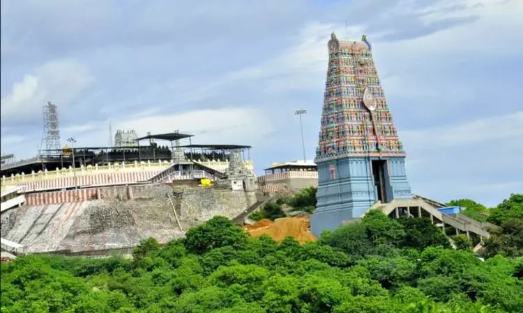 பங்குனி உத்திரம்: திருத்தணியில் நாளை அதிகாலை 3 மணி முதல் தரிசனத்திற்கு அனுமதி