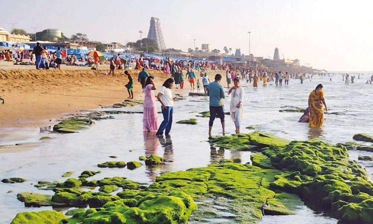 திருச்செந்தூரில் திடீரென உள்வாங்கிய கடல்