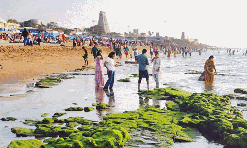 திருச்செந்தூரில் திடீரென உள்வாங்கிய கடல் திருச்செந்தூரில் திடீரென உள்வாங்கிய கடல்