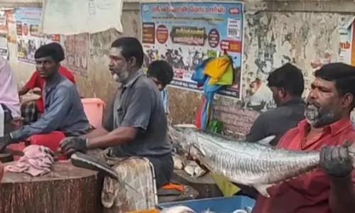 சென்னையில் மீன்கள் விலை கிடுகிடு உயர்வு: வரும் நாட்களில் மேலும் அதிகரிக்க வாய்ப்பு