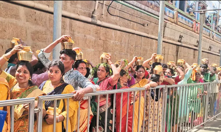 திருப்போரூர் முருகன் கோவிலில் 1,008 பால்குட ஊர்வலம் திருப்போரூர் முருகன் கோவிலில் 1,008 பால்குட ஊர்வலம்
