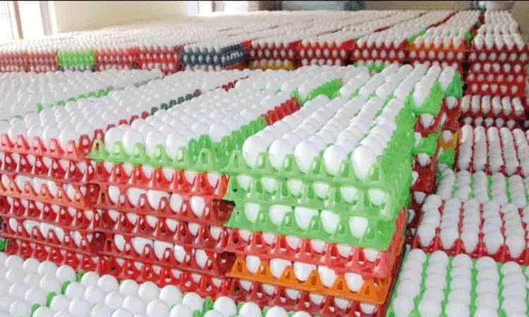 முட்டை விலை நிர்ணயம் செய்வதில் குளறுபடி ... ... இன்றைய முக்கிய செய்திகள் சிலவரிகளில்.. 15-04-2025