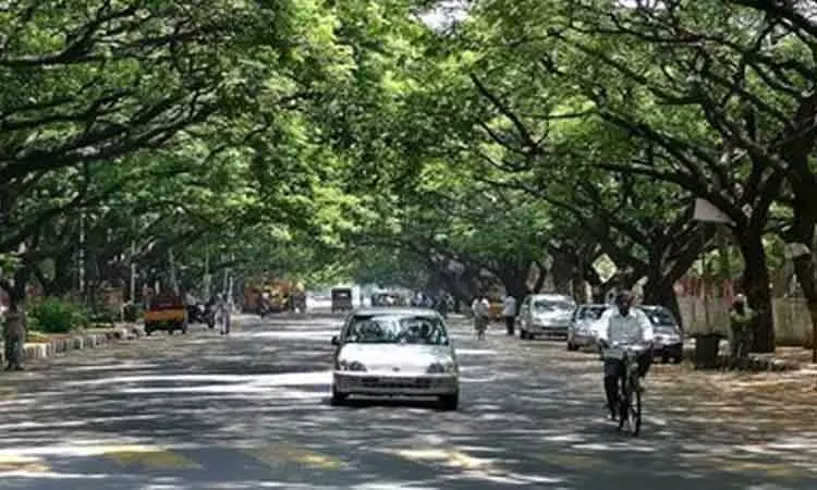 சுட்டெரிக்கும் கோடை காலம் தொடக்கம்: வெப்பம் குறைய தீர்வுதான் என்ன? சுட்டெரிக்கும் கோடை காலம் தொடக்கம்: வெப்பம் குறைய தீர்வுதான் என்ன?