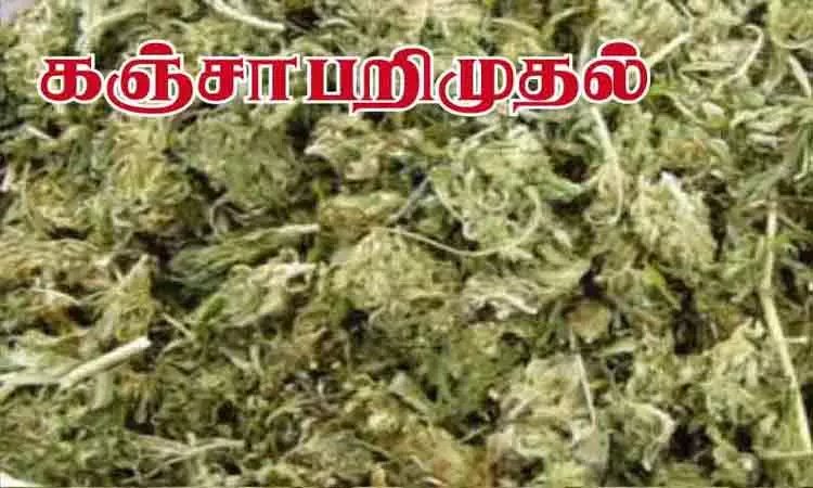 கிருஷ்ணகிரி: கஞ்சா, புகையிலை பொருட்கள் விற்பனை செய்த 15 பேர் கைது கிருஷ்ணகிரி: கஞ்சா, புகையிலை பொருட்கள் விற்பனை செய்த 15 பேர் கைது