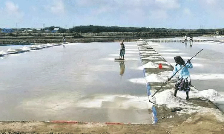 தூத்துக்குடிக்கே இப்படியொரு நிலையா? குஜராத்தில் இருந்து 40 ஆயிரம் டன் உப்பு வருகை