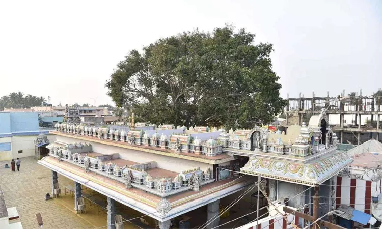 உடுமலை அஷ்ட நாகர்களும்.. பாலாபிஷேக பலன்களும் உடுமலை அஷ்ட நாகர்களும்.. பாலாபிஷேக பலன்களும்