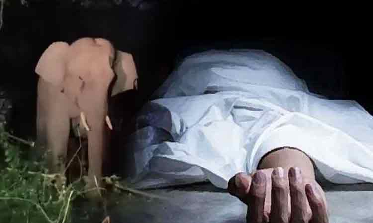 நீலகிரி: காட்டு யானை தாக்கி பெண் பலி