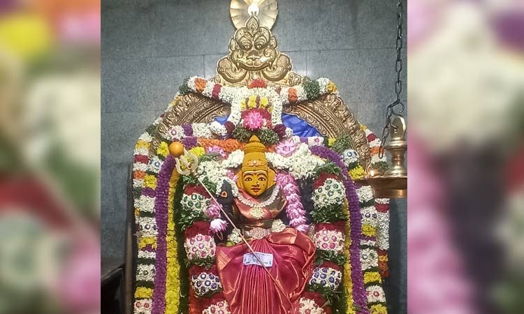 பல்லடம் மாகாளியம்மன் கோவிலில் பொங்கல் பூச்சாட்டு விழா